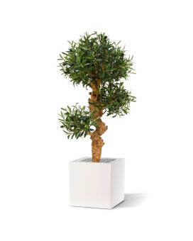 Artificial Olive Bonsai tree 90 cm on foot