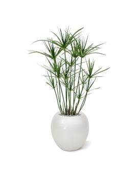Artificial Papyrus plant 65 cm