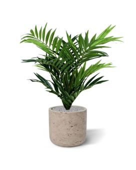 Artificial Parlour Palm 50cm