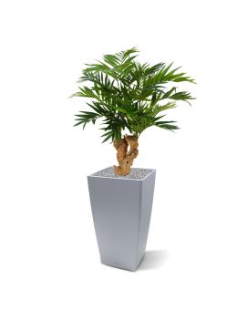 Artificial Parlour Palmtree 65 cm
