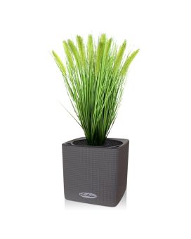 Artificial Pennisetum Grassplants 50cm