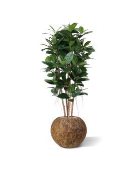 Artificial Philodendron column tree 155 cm