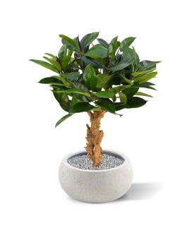 Artificial Philodendron 80 cm plant