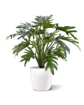Artificial Philodendron Xanadu plant 50 cm