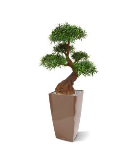 Artificial Podocarpus Bonsai 90 cm UV