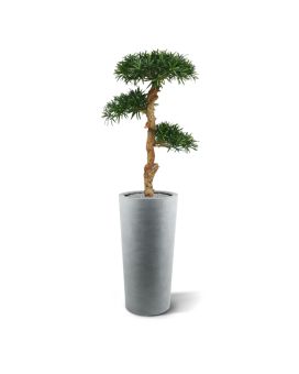 Artificial Podocarpus Bonsai 120 cm
