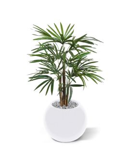 Artificial Raphis Palm 75 cm