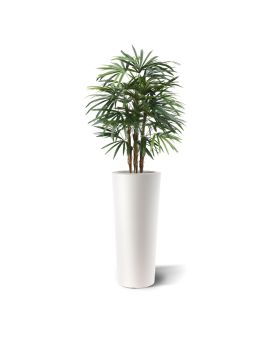 Artificial Raphis Palm Deluxe 100cm