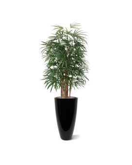 Artificial Raphis Palm Deluxe 160 cm
