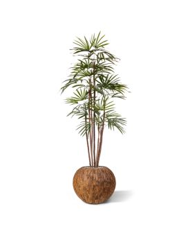 Raphis artificial palmtree Promo 170 cm