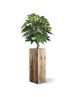 Artificial Schefflera Amate deluxe plant 105 cm