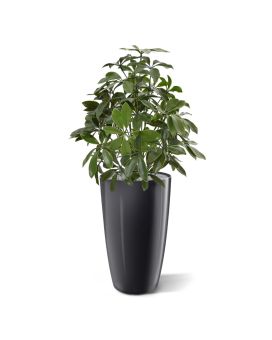 Schefflera artificial plant 50 cm anti-UV