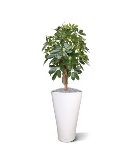 Artificial Schefflera plant 65 cm on foot