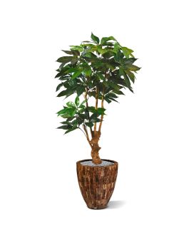 Schefllera Amate deluxe artificial tree 165 cm