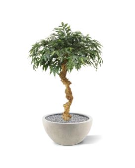Artificial Shirakashi Bonsai tree 100 cm