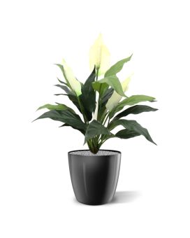 Artificial Spathiphyllum plant 50cm in pot