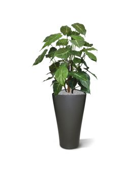 Syngonium deluxe artificial plant 85 cm