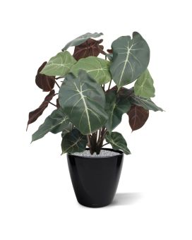 Syngonium artificial plant 60cm