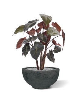 Syngonium artificial plant 60 cm on wood
