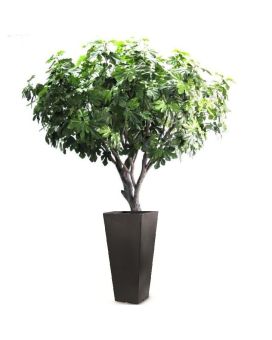 Artificial Giant Fig tree Deluxe 250cm