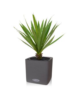 Artificial Yucca plant 40 cm