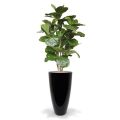 Lyrata Deluxe artificial tree 170 cm FR