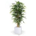 Artificial Bamboo Deluxe 180 cm FR
