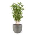 Artificial Oriental Bamboo plant 100 cm