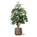 Artificial Schefflera Exotica plant 120 cm