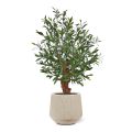 Artificial Olive Bonsai plant Deluxe 90cm UV