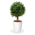 Artificial Boxwood Ball Deluxe 25 cm