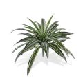Artificial Draceana bouquet 40 cm green-variegated