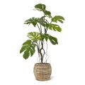 Monstera artificial plant 70 cm