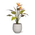 Artificial Strelitzia bouquet 75 cm