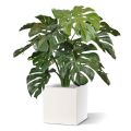 Artificial Monstera bouquet deluxe 75 cm