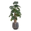 Artificial Monstera tree 180 cm