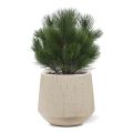 Artificial Pine (Pinus) ball 45 cm anti-UV
