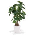 Artificial Alocasia Calidora Deluxe 165 cm
