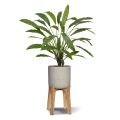 Calathea 75cm Artificial plant green