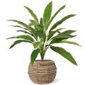 Draceana artificial plantt 40 cm NT (bush)