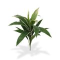 Artificial Draceana plant variegated 60 cm (bush)