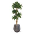 Artificial Acer Bonsai Deluxe 170 cm green