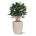 Ficus Audrey Artificial Plant 100cm