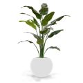 Artificial Traveller palmtree deluxe 165 cm