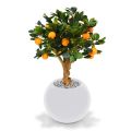 Artificial Orange Bonsai 65 cm