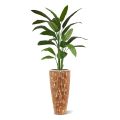 Artificial Heleconia green 170cm in pot