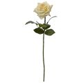 Artificial Rose Branch Classic 46cm cream