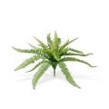 Artificial Boston Fern 65 cm (bush)