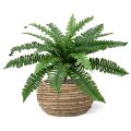 Artificial Boston Fern Deluxe 45cm (bush)