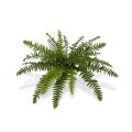 Artificial Boston Fern Deluxe 50 cm (bush)